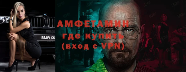 шишки Краснослободск