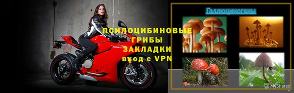 шишки Краснослободск