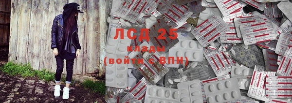 шишки Краснослободск