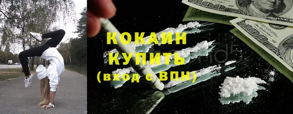 шишки Краснослободск