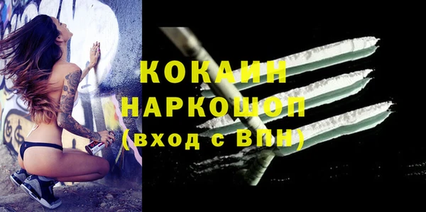 соль ск Кукмор