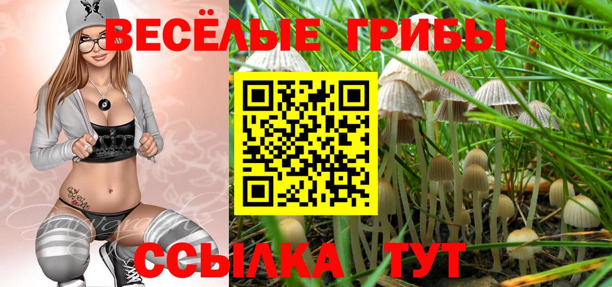 Галлюциногенные грибы Psilocybine cubensis Ливны